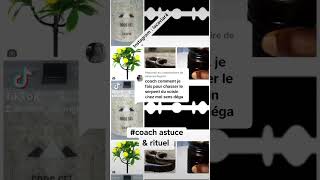 astuce pour chasser serpent de ton voisin dans tes toilettes [upl. by Ahsiele409]