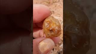 Finding Agate On Mountain part 87 agate [upl. by Evans]