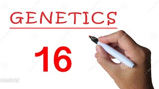 Genetics  Epistasis All Cases [upl. by Eimorej212]