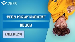 Mejoza  podziały komórkowe Załappl [upl. by Dicks]