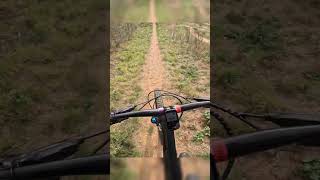 Step up Dirt jump on the Trek mtb [upl. by Touber855]