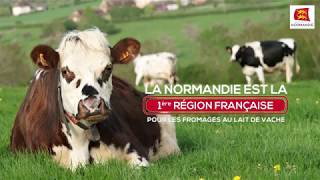 Les 4 Fromages AOP de Normandie [upl. by Johnston]