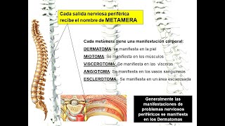 4 Metámeras y efectos [upl. by Len11]