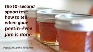 The Spoon Test How To Tell When Pectin Free Jam Is Done [upl. by Urban]