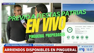 Pingueral Propiedades en Vivo por MEGA  Matinal Mucho Gusto  3 Septiembre 2024 muchogustomega [upl. by Fabio75]