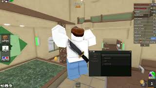 Roblox MM2 script Pastebin [upl. by Moorefield931]