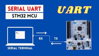 Serial UART with STM32 MicrocontrollerTransmit and Receive Data [upl. by Nnylyam]