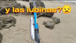 PESCA a SPINNING desde PLAYA en SANTOÑA🏖️🌊🎣 [upl. by Anyal340]