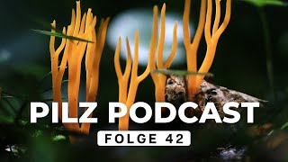 Pilz Podcast Folge 42  Pilze sammeln amp züchten mit derpilzfluesterer drrattenkaiser5275 [upl. by Islek]