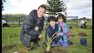 Tokomaru Bay Tree Planting HateaaRangi School [upl. by Ainahpets]