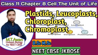 Lecture 17 Class 11 Biology Plastids leucoplasts Chromoplasts Chloroplasts NEET CBSE [upl. by Hanavas]