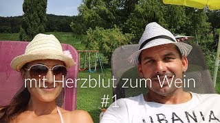 mit Herzblut zum Wein Vlog 1  Laubschneiden [upl. by Ahsieym]