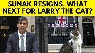 UK Elections  Will The Stay Of Larry  The Cat  Get Affected After The Change In Government  N18G [upl. by Mahla321]