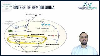 Anemia Ferropriva  Dr Bruno Alvim [upl. by Yaker]