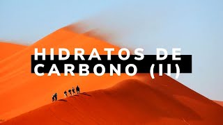 Clase de Hidratos de Carbono 2da parte [upl. by Eelnodnarb]