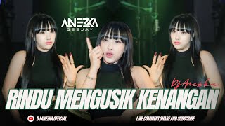 FUNKOT  RINDU MENGUSIK KENANGAN  THOMAS ARYA   BY DJ ANEZKA OFFICIAL [upl. by Dianne625]