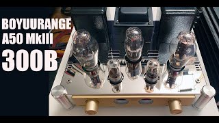 Impossibly Affordable 300B Tube Amplifier  Top Notch Build  Rich Sound [upl. by Jaquelyn]