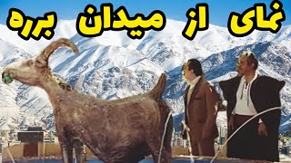 نمایی از لوکیشن شبهای برره و میدان کره بز برره [upl. by Ahsym]