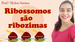 Descubra a Função dos RIBOSSOMOS Ah ELES NÃO SÃO ORGANELAS 😲🤯 Biologia Celular com Helen Santos [upl. by Etat65]