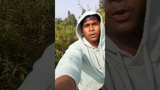 Aa rahal hiyo gee Vishalll00007 shorts yputubeshorts video reels [upl. by Rudy]