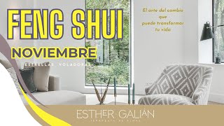 Feng Shui Noviembre 2024 [upl. by Oiracam]