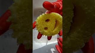 LemonSpongeLemonProduct scrubdaddy spongeasmr spongesqueeze asmrsounds sudsy asmr lemoncomet [upl. by Novaj898]