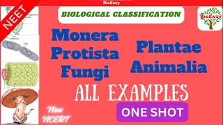 examples of biological classification  Monera  Protista  fungi  plantae  Animalia  algae amit [upl. by Slyke867]