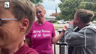 A welcome home parade for Prayer  Stray Rescue of StLouis [upl. by Loralie237]