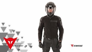 Dainese FRANZER PELLE jacket [upl. by Anerahs]