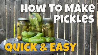 How To Make Pickles  Quick amp Easy Refrigerator Pickles [upl. by Buckler137]