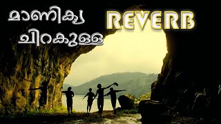 Manikya chirakulla manathu kuriyulla song  slowed  reverb [upl. by Eanahs]