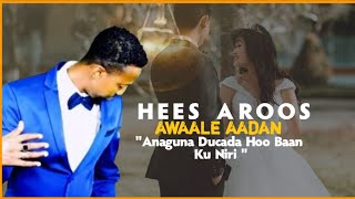 CAWAALE AADAN HEES AROOS HUBQAAD  4k lyrics [upl. by Arolf]