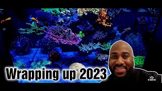 Reef tank update hcaquaticsreefing [upl. by Launam]