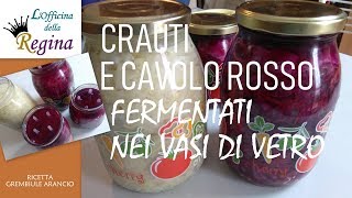 Crauti e cavolo rosso fermentati nei vasi di vetro [upl. by Kerwon283]