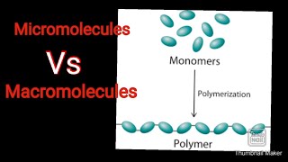 Differences between micromolecules and macromolecules by Sir Asad Sahib  types of macromolecules [upl. by Ardella]