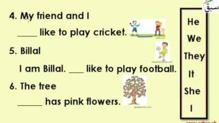 Write Correct Pronoun guesswrite English Lecture  Sabaqpk [upl. by Jasmine341]