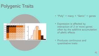 Heterogenic vs Polygenic Traits [upl. by Divine]