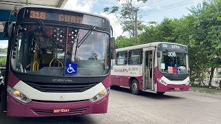 AP31601 MercedesBenz OF 1519 Bluetec 5 Rio Guamá Comil Svelto 2017 [upl. by Karine]