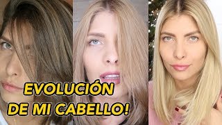 CÓMO FUE ACLARAR MI CABELLO DE FORMA NATURAL  POR QUÉ LO HICE EVOLUCIÓN DE MI CABELLO [upl. by Ozner]