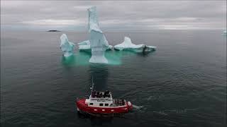 Icebergs and tour boat in Bonavista Bay NL [upl. by Reinwald955]