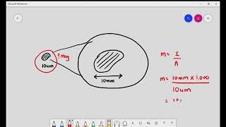 11 Introduction to light microscope amp magnification Cambridge AS amp A Level Biology 9700 [upl. by Nod]