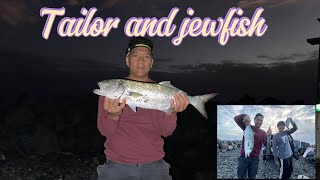 Catching tailor and jewfish  NSW🇦🇺 Breakwall fishing [upl. by Grosberg49]