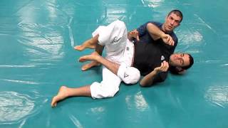 UFC 137 Penn vs Diaz Gracie Breakdown [upl. by Ahsiram]