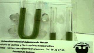 REACCION MICROELECTROQUIMICA AGUA CON VERDE DE BROMOCRESOL [upl. by Heisel]