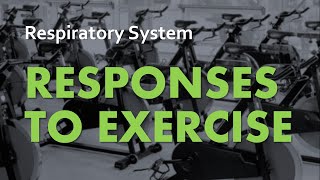 Responses to Exercise  Respiratory System 06  Anatomy amp Physiology [upl. by Ydnas]