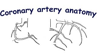 Coronary angiography Lesson 1 coronary artery anatomy [upl. by Ailaroc]