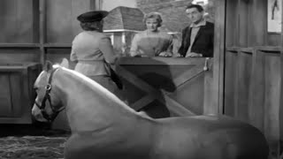 Mister Ed Season 1 Episode 20 1961 Ed Agrees to Talk [upl. by Dibbrun897]