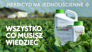 Herbicyd na chwasty jednoliścienne – wszystko na temat AgilS 100 EC [upl. by Aihsekal689]