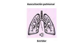 Ruidos respiratorios agregados  Estridor [upl. by Alane]