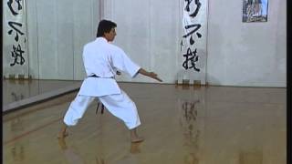 Gojushiho Sho  Efthimios Karamitsos  Karate  Kata  Shotokan [upl. by Aym]